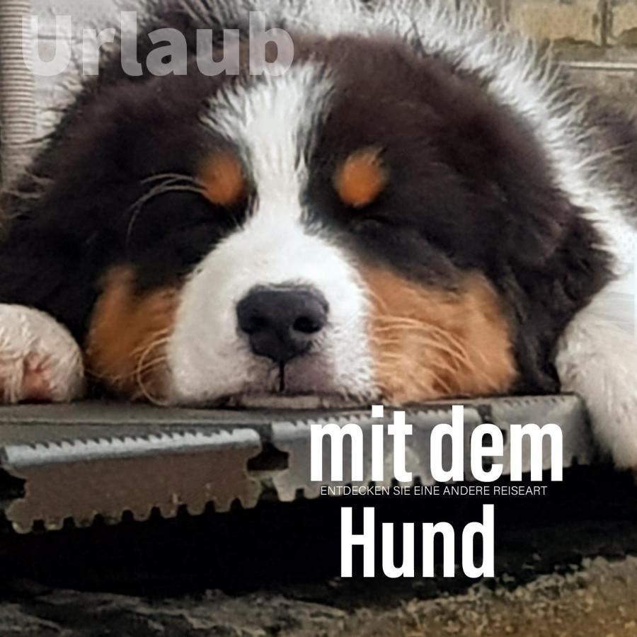 Der Seehof Heimbach Extérieur photo